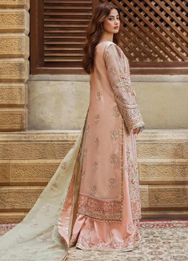 Sajal by Serene Wedding Collection | SB-27 - Image 2