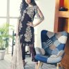 Zara Hayaat Festive Collection  - RAISIN 20 W4
